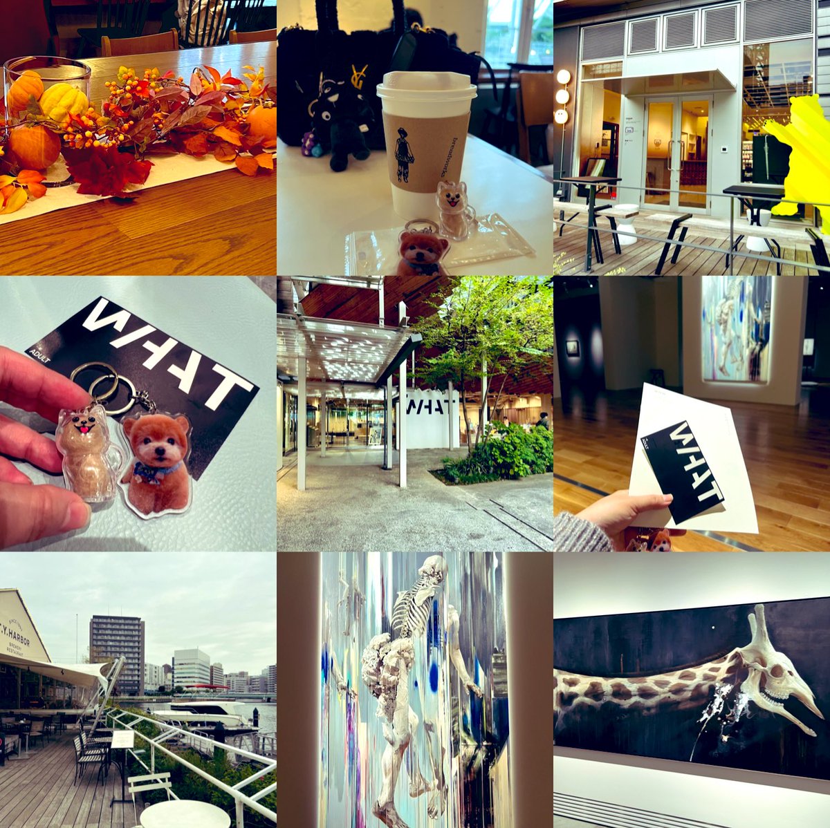 Sunnyloveleon's tweet photo. 今日のお散歩🚶♀️
#whatmuseum #諏訪敦 #breadworks #tennozu #harborview https://t.co/ICVvrOCkZA