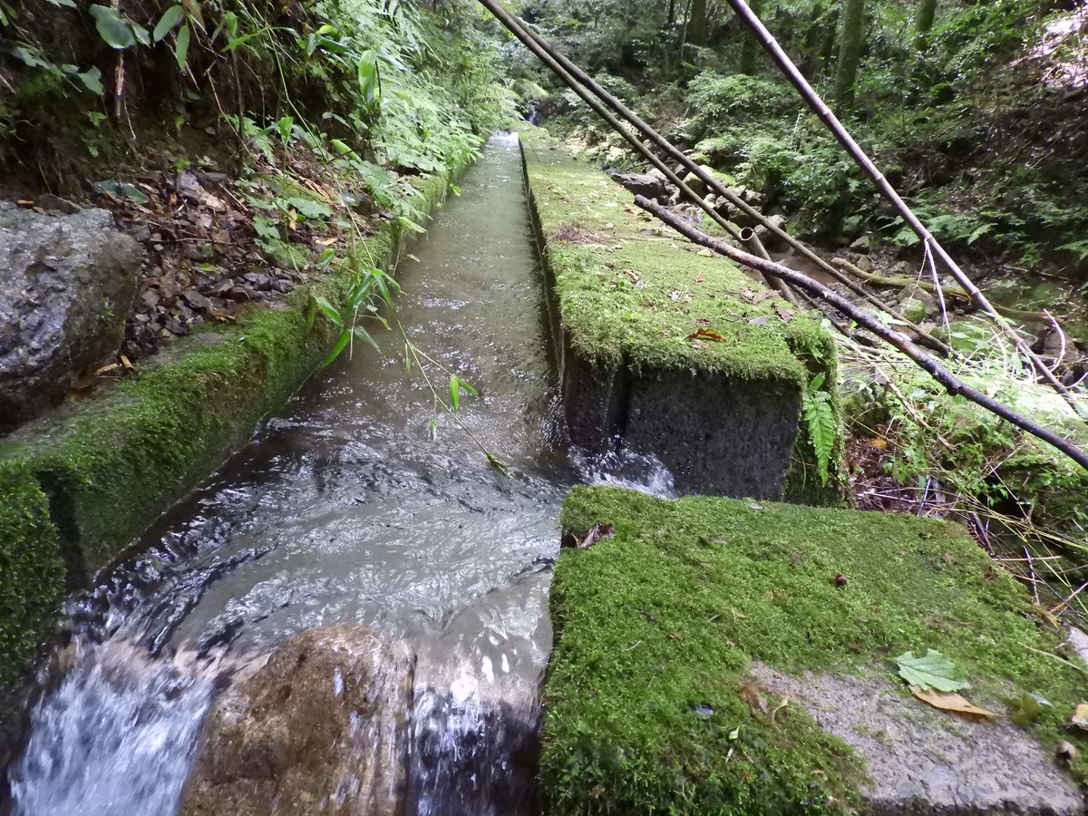 今日の山腹用水路

#水路萌え #三原尾野用水 #高千穂