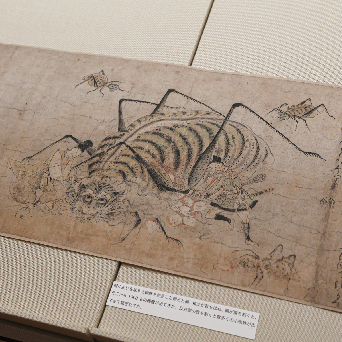 ♥みっちゃん様♥ 𝔐(みちゃん) on X