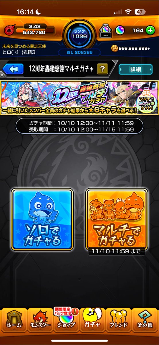 これ募集