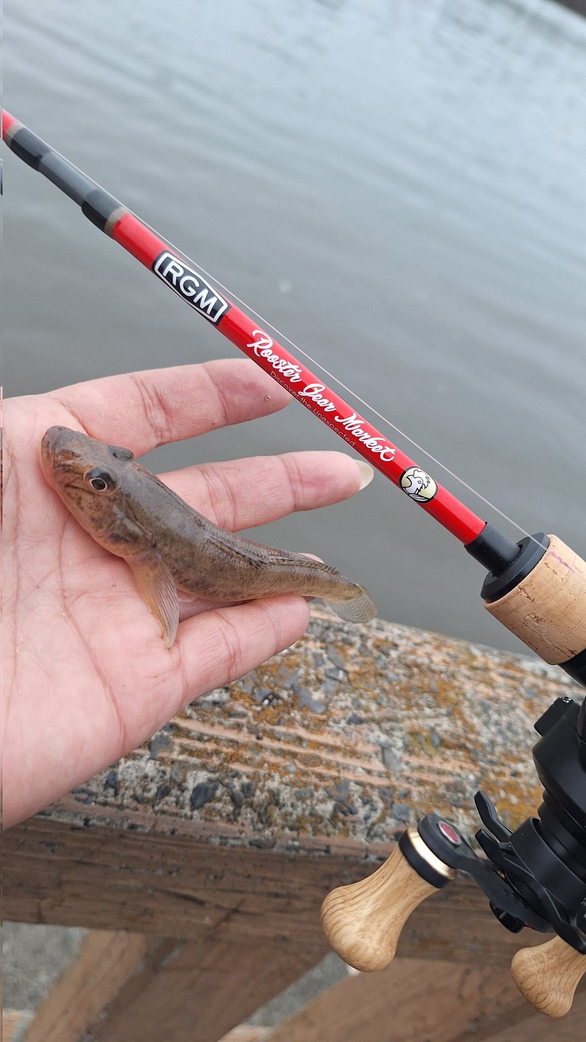 麻愛‥まぁちゃん‥ (@maaaaaa_pon) / X