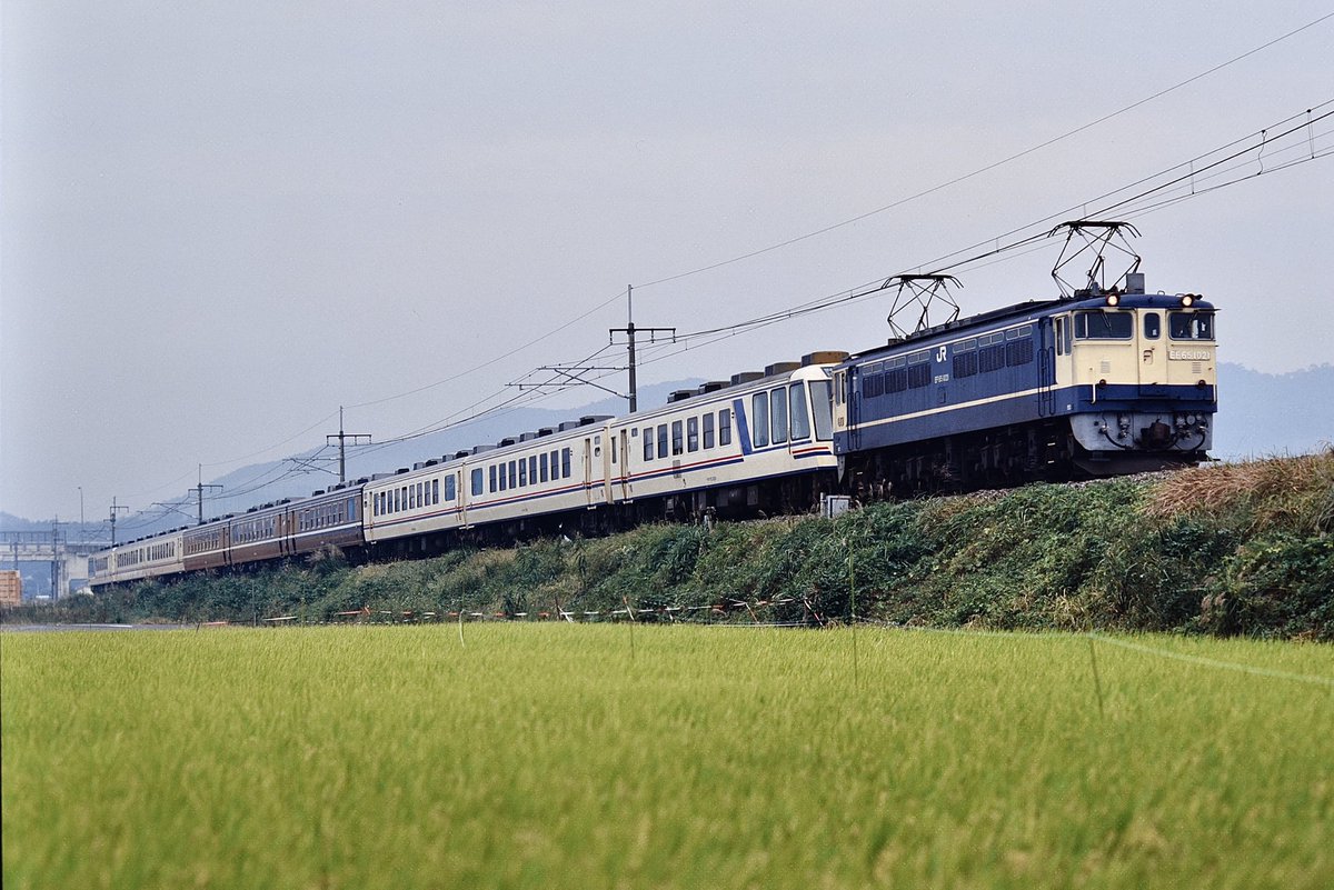 とーちゃん (@SIjy6qdepUXrPB0) / Posts / X