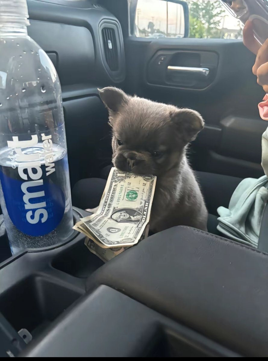 onchainjew tweet media