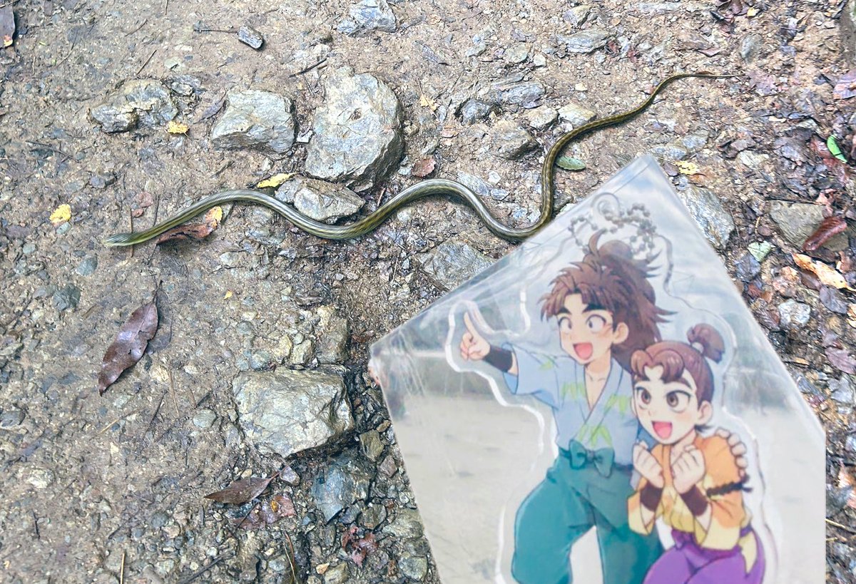 「昨日の写真載せてなかったの色々 縁起物お団子(くるみ味噌)とか野生のエノキ(たぶ」|とま 5/3東1イ09b（委託）のイラスト