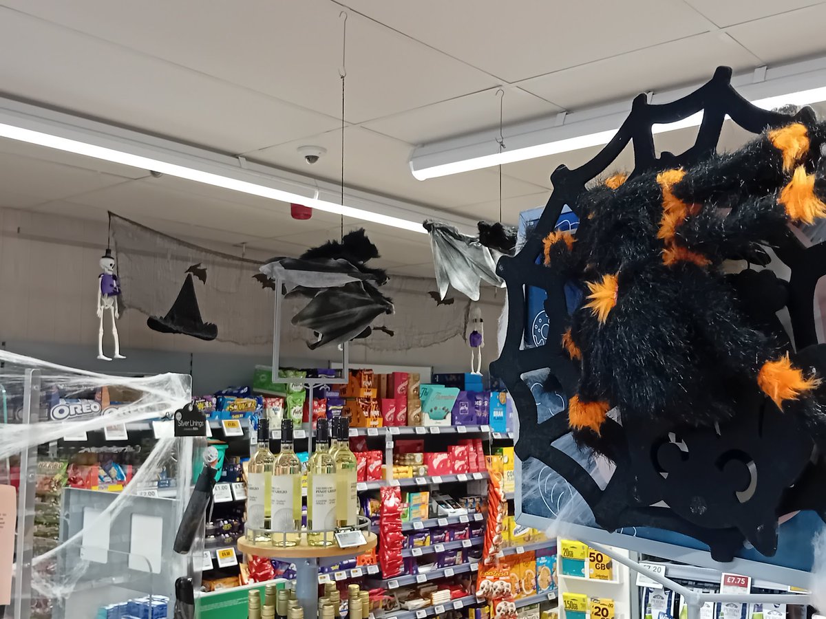 Steve__Sanders tweet media