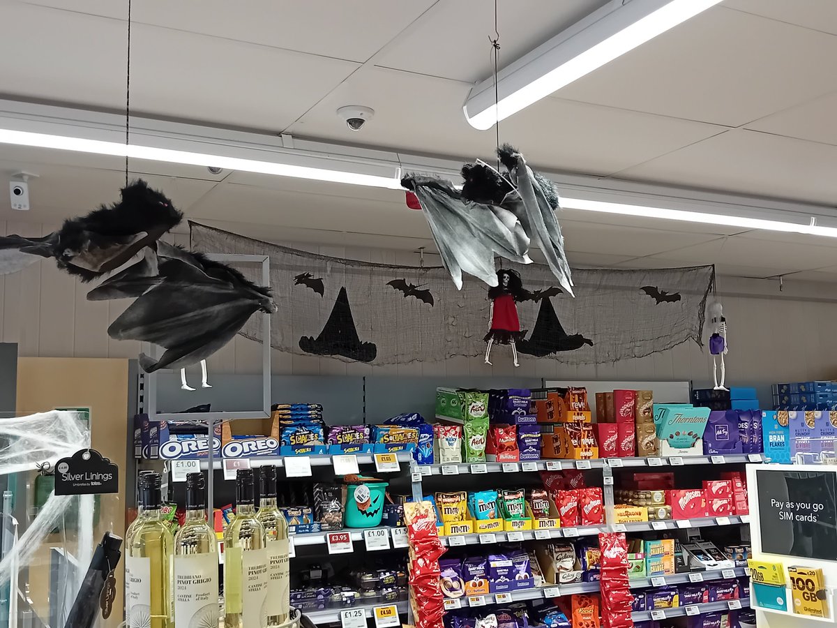 Steve__Sanders tweet media