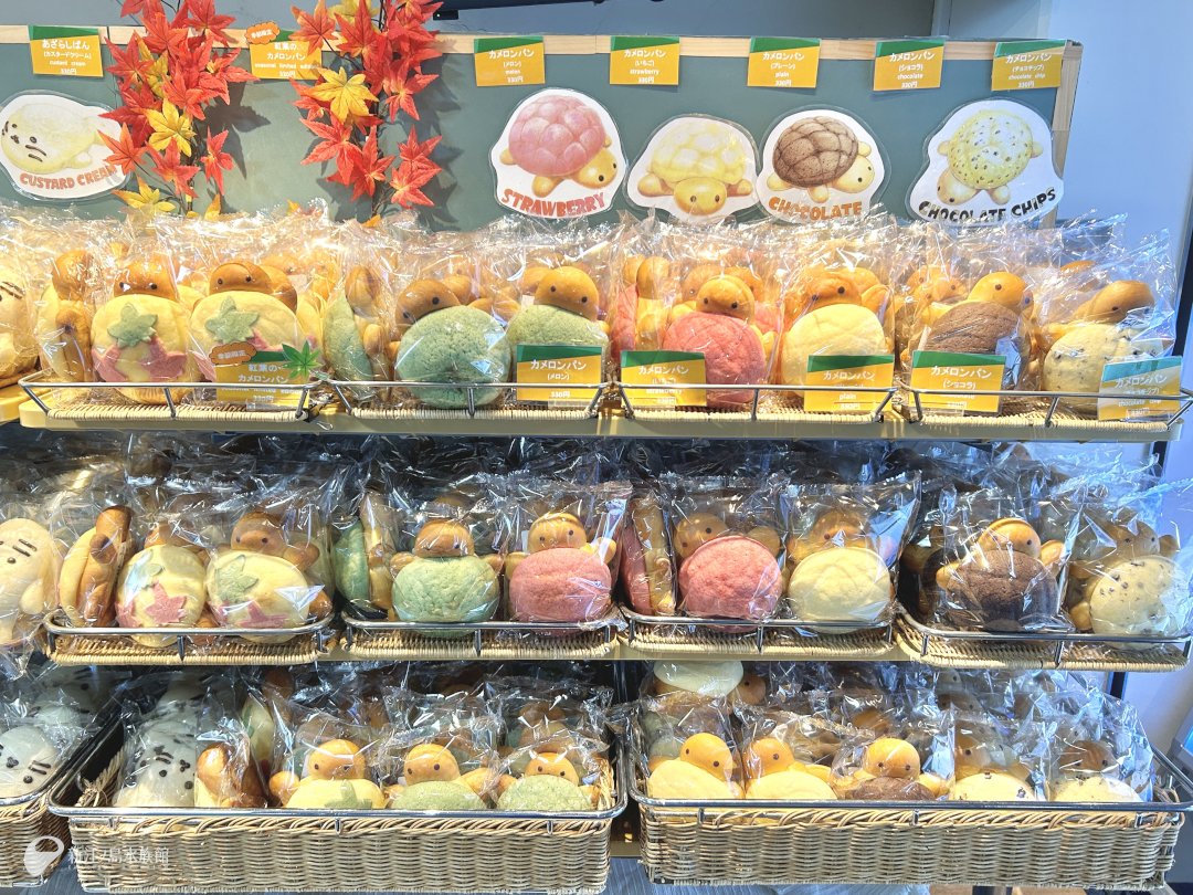 定番から期間限定の味まで！ 🐢カメロンパン 📍オーシャンカフェ