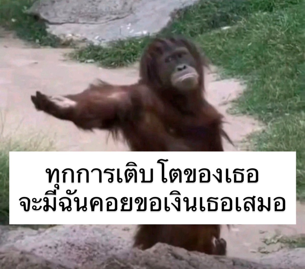 sutiฯ tweet media