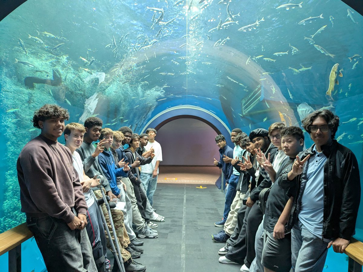 Ms Jestico tweet media