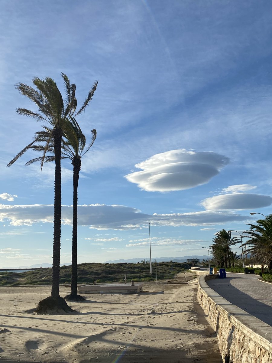 Dolors Ferrer tweet media