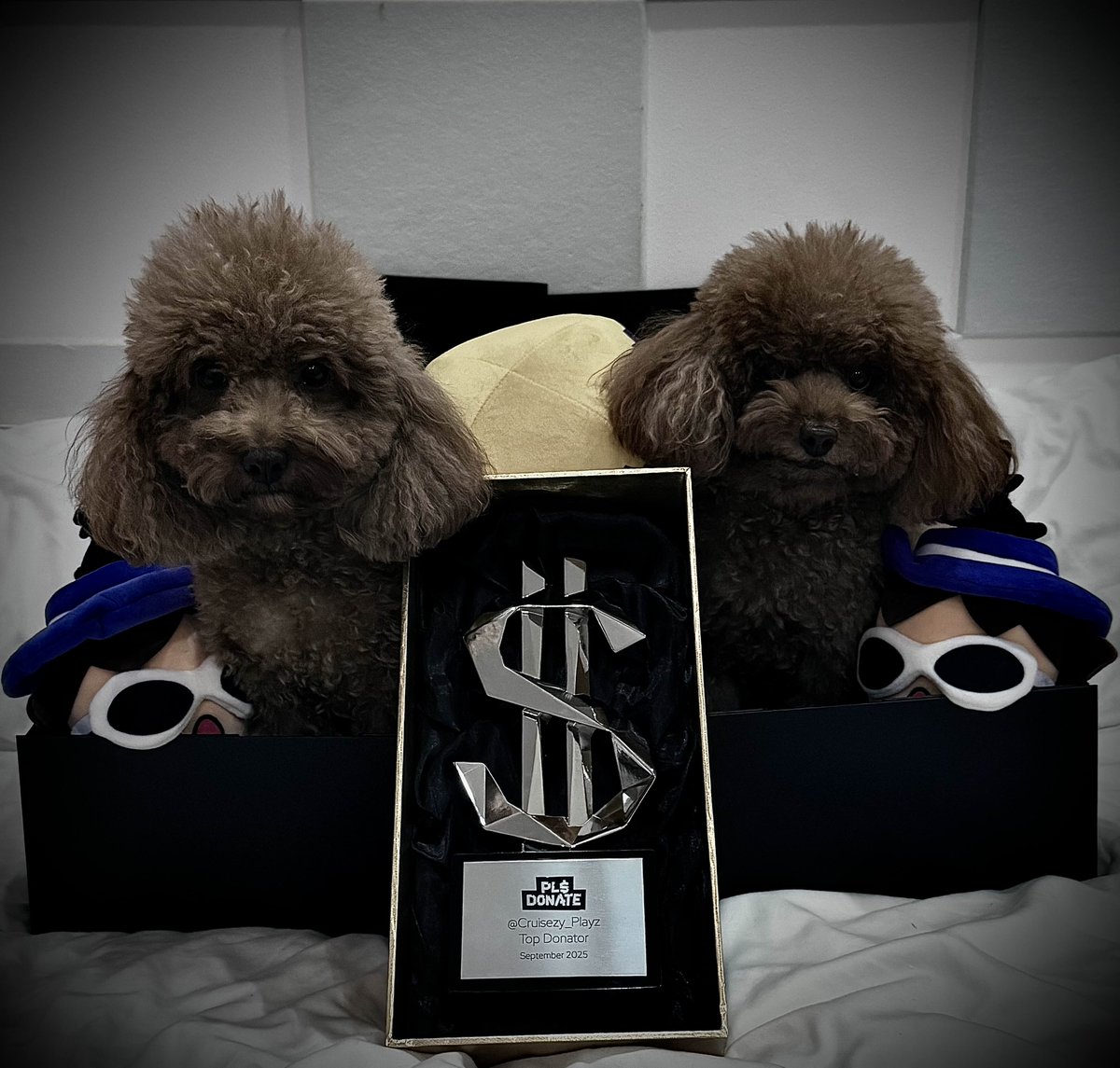CruisezyPlayz's tweet image. 🏆MY PLS DONATE TROPHY HAS OFFICIALLY ARRIVED🏆
I did a little photoshoot with most of my merchandises from @quataun/@Makeship & with my 2 dogs (Coco & Lexi)🐶
I would also like to sincerely thank & give shoutouts to the following people who helped me throughout my journey…