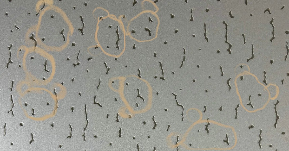 冨岡想　Tomika Soh 原画　一点のも　unique 冨岡想 Tomika Soh 原画 一点のも unique