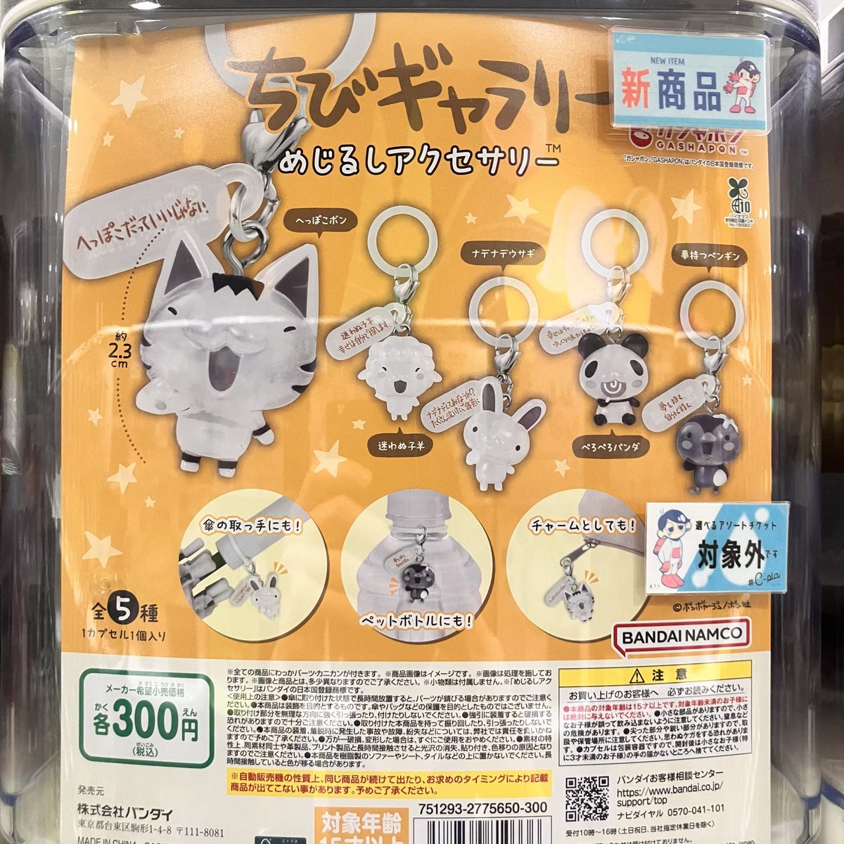 C-pla狸小路5丁目北店【公式】 on X