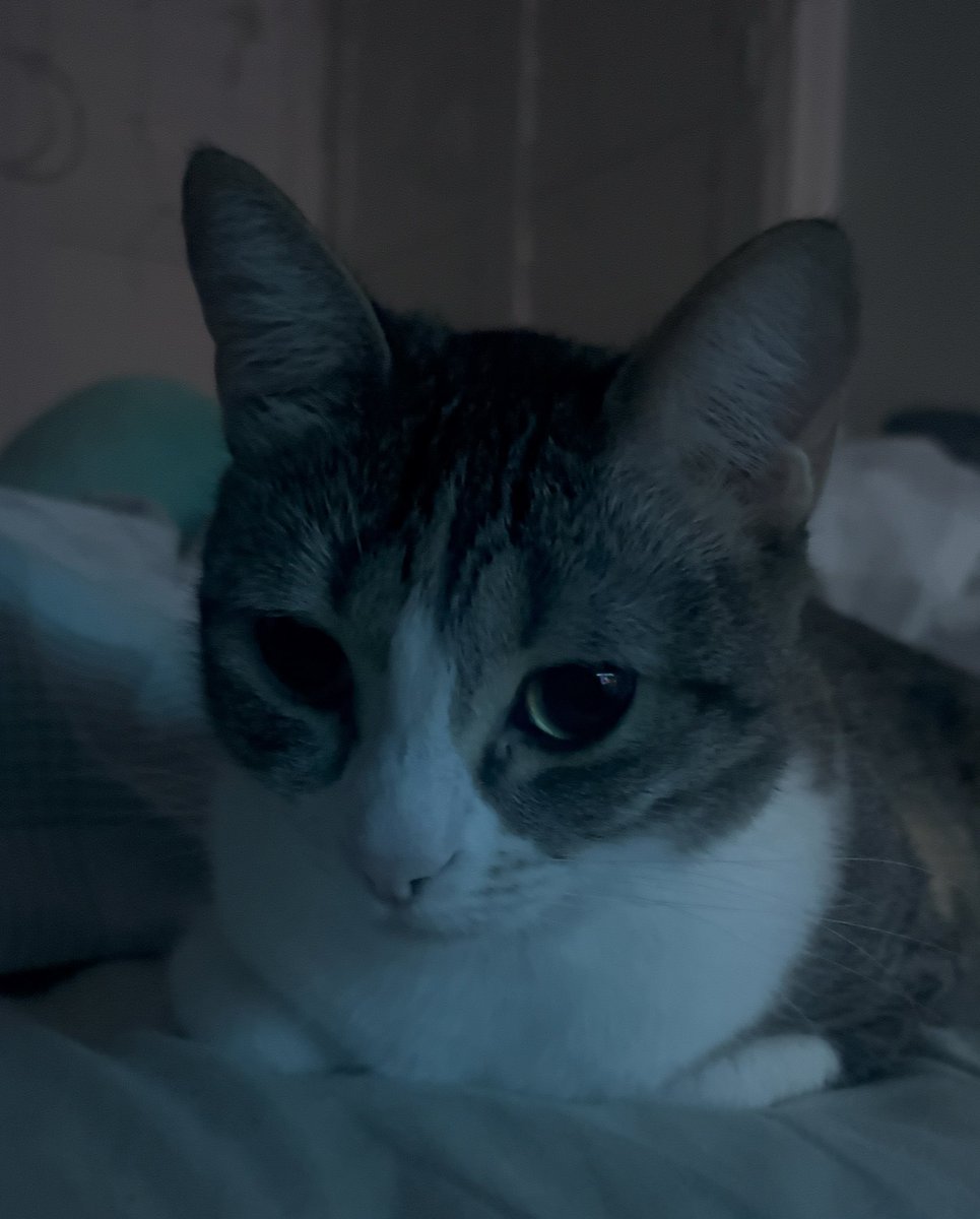 her little arms tucked in &gt;_&lt;