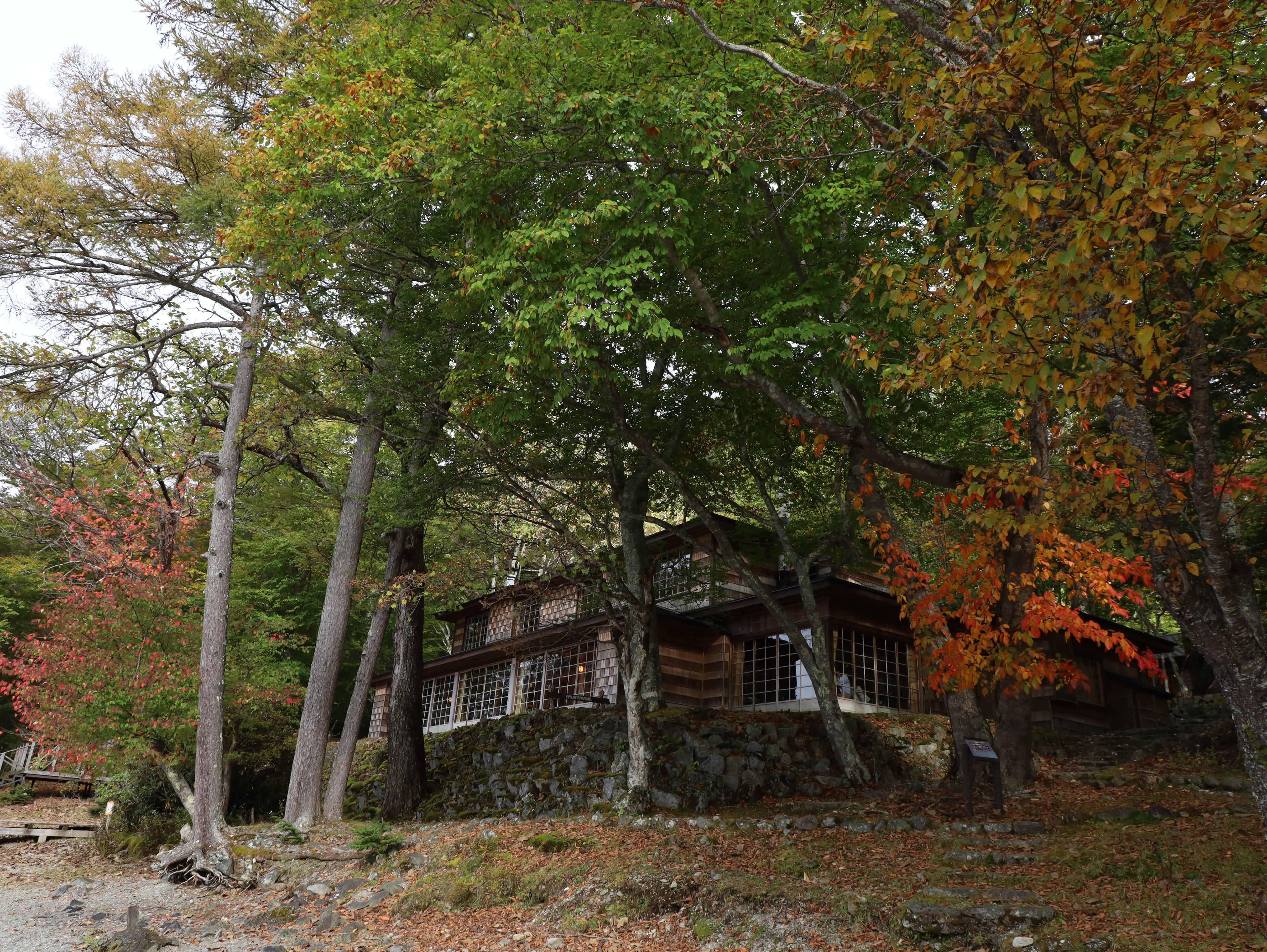 聖道  作            「 大自然」 さとちゃん18 on X