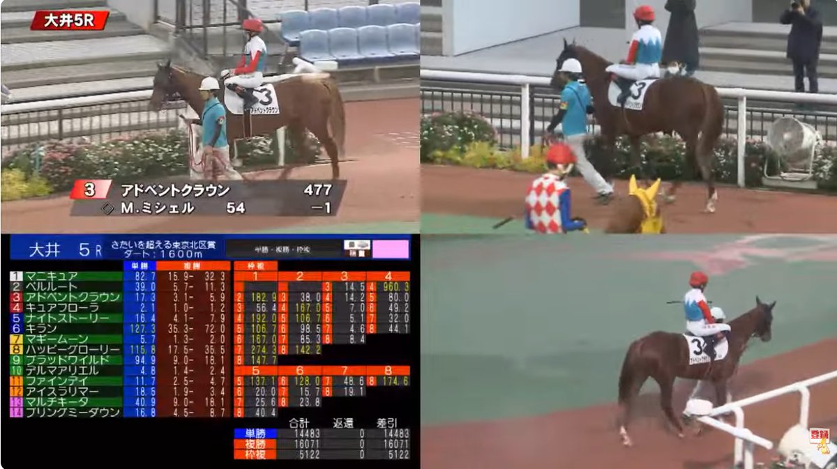 🇫🇷 Mickaëlle Michel🇯🇵<a href="/MickaelleMichel/">Mickaëlle Michel - ミカエルミシェル</a> and Advent Crown アドベントクラウン Tuesday at Tokyo City Keiba‼️🏇
#NeverGiveUp #WorkHard #MickaelleMichel
M.ミシェル #ミカエルミシェル
💪👊🌪️🥰
<a href="/FredericSpanu/">Frederic Spanu Racing</a> <a href="/noriri4/">noriri🐾</a> <a href="/ma_ouma1/">Masakazu Takahashi</a> <a href="/sebgoursaud/">sebgoursaud</a> <a href="/KFrnch/">Kimberly French</a> <a href="/shimaneso/">しまねそ</a> <a href="/Jarjayes117/">ジャルジェ</a> <a href="/zonahipica/">Zona Hípica Noticias</a>