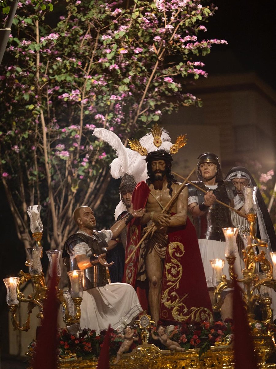 Martes de Coronación I Restamos un nuevo martes a nuestro calendario especial.
Feliz Martes Hermanos ♥️