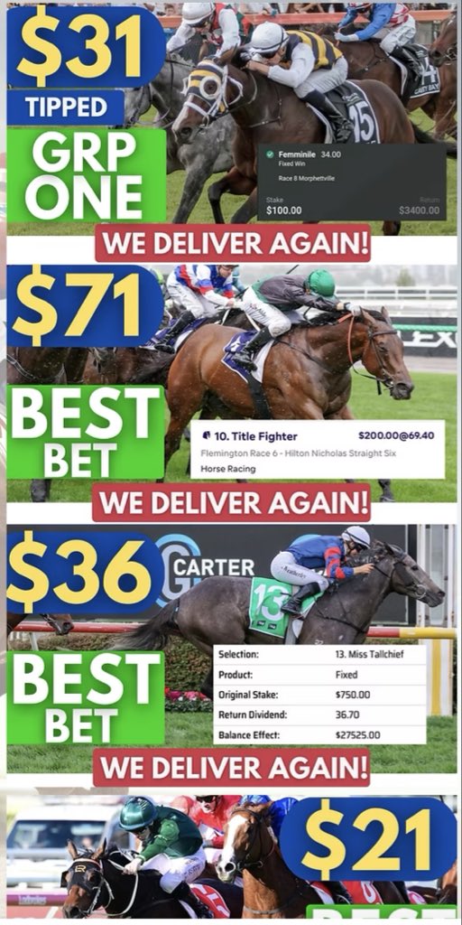 Aussie Punting Battlers tweet media
