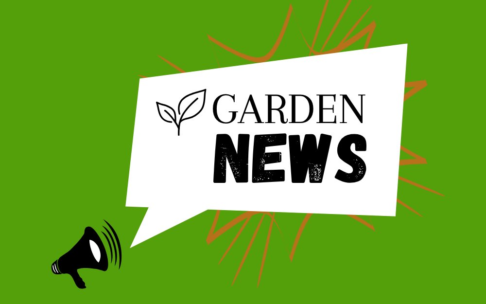 🌱 Miley Cyrus says gardening kept her grounded.
🍇 Bristol homeowners stomp grapes and start winemaking in backyards.
❄️ Ice cubes for orchid watering — genius or gardening myth?
Read today’s top garden stories here: gardenskill.com/more/gardening…