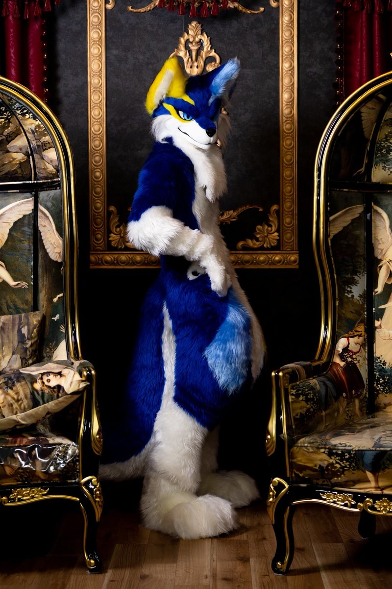 たまには真面目なさえらさんを置いておこう