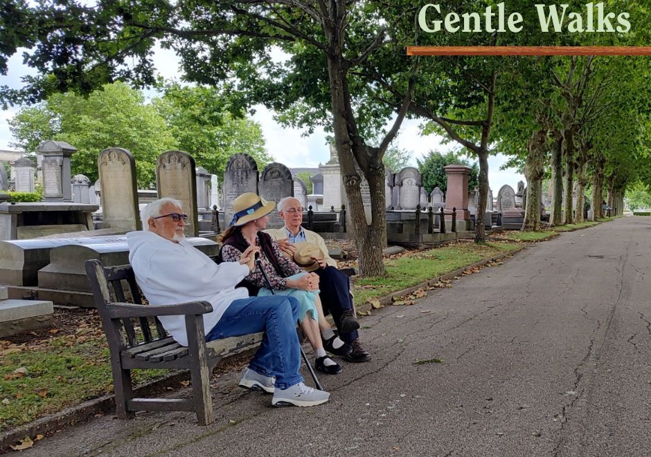 A Walk for Every Step 🚶gentle, meaningful, inspiring
📍Sunday, 26 October, 11 am
Our Gentle Guided Walk offers a welcoming way to experience Willesden Jewish Cemetery’s beauty and history — even if you find walking longer distances difficult.
🎥 a short video 
☕hot drinks