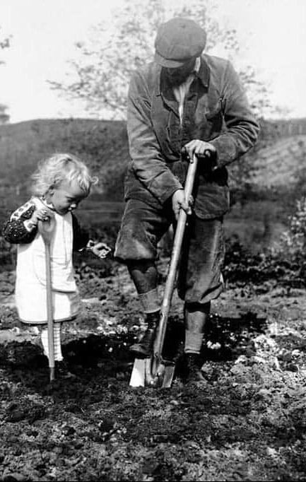 L'important travail de la terre et la transmission aux générations suivantes...

#jaimelespaysans #agriculteur #agriculture #FrAgTw