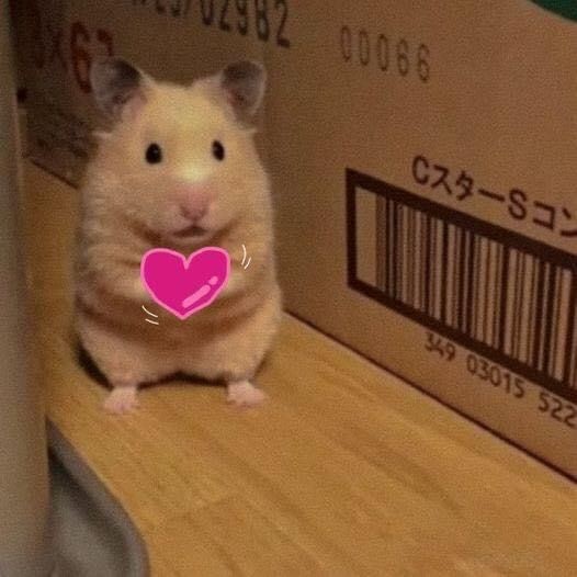 저의 자랑스러운 가수 김성규 
고마워 사랑해 오늘도 매일도🫶🏻