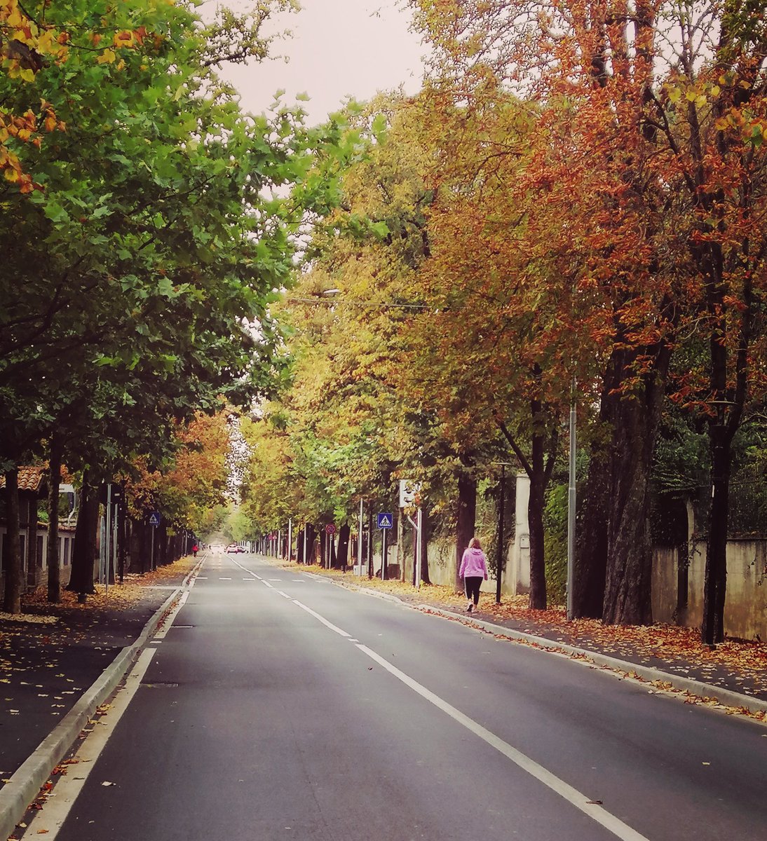 Walk along the horse chestnut avenue