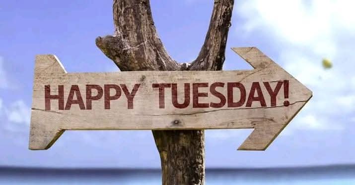 As we ease  into the week, we endeavour to turn our plans into progress and goals into results.

#TuesdayMotivation