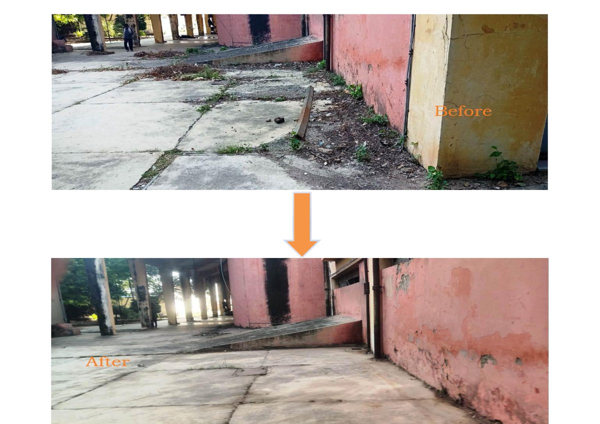 FCI_Delhi's tweet photo. ✨#Cleanliness_Drive@DO-Mayapuri
Under #SpecialCampaign5.0, #FCI Delhi took proactive steps to clean and organize FCI,DO-Mayapuri Office premises.
From an unattended waste to a spotless, functional environment-the visual change is inspiring!
📸Before &amp; After snapshots below ⬇️ https://t.co/i1ssJzMWht