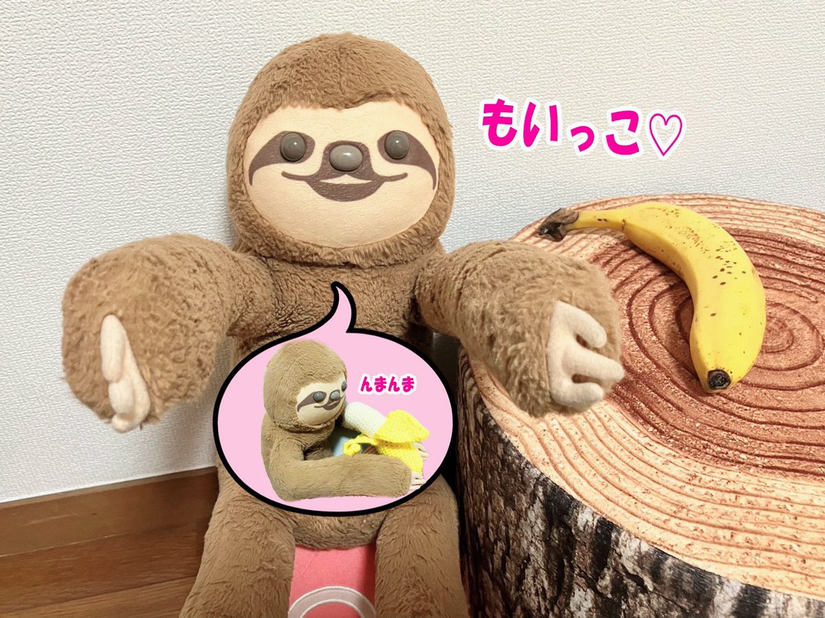 こり、ぼくの渾身のお写真がじょうずに表示さりなかったから、"おやつ🍌"も"いいね❤️"も、もいっこちょうだいっ🦥🌟