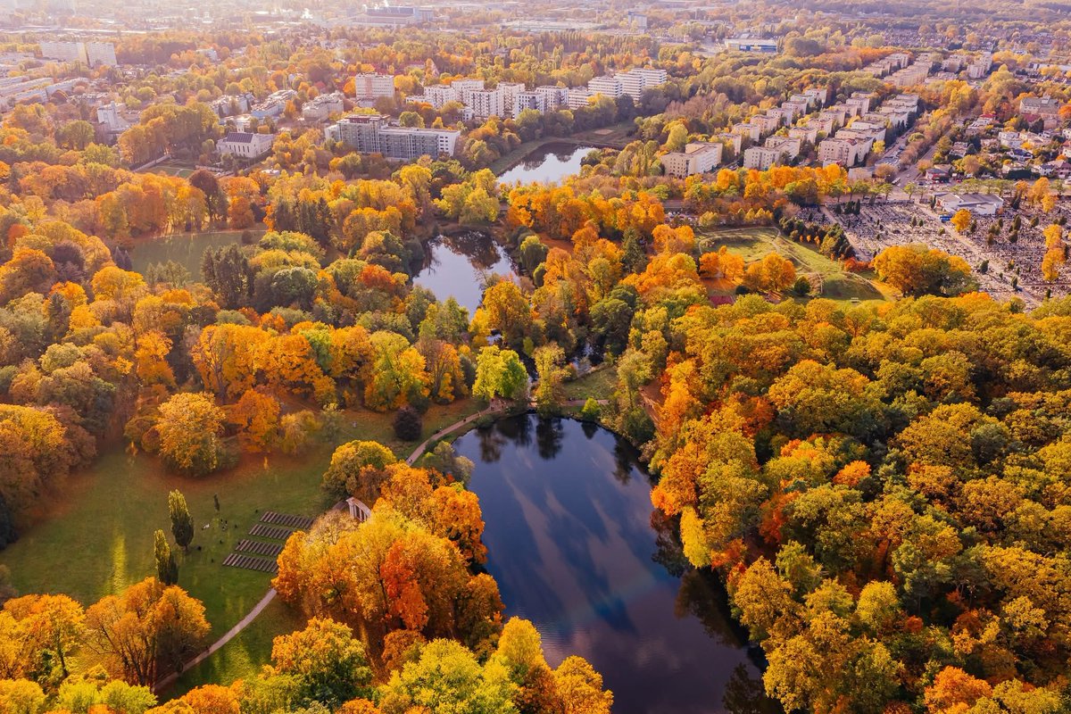 Łódź tonie w złocie 🍂
Fot.: rozentuzjazmowany photography