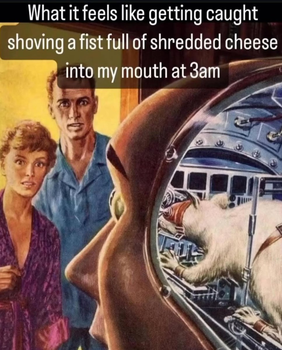 Respectful Memes (@respectfulmemes) on Twitter photo 