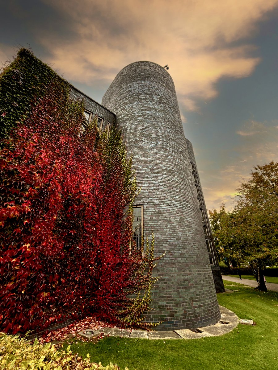 Keele University 🐿️ tweet media