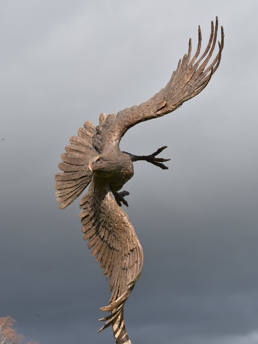 Bald Eagle Life Size 2023

hamishmackie.com/sculptures/ame…

#baldeagle #eagle #birds #artcommission #artcollector #statuecollectors #artbuyers #buyart #contemporarysculpture #wildlifesculpture #animalsculpture #sculpture #artwork #statue #artist #sculptor #wildlifeart #animalart
