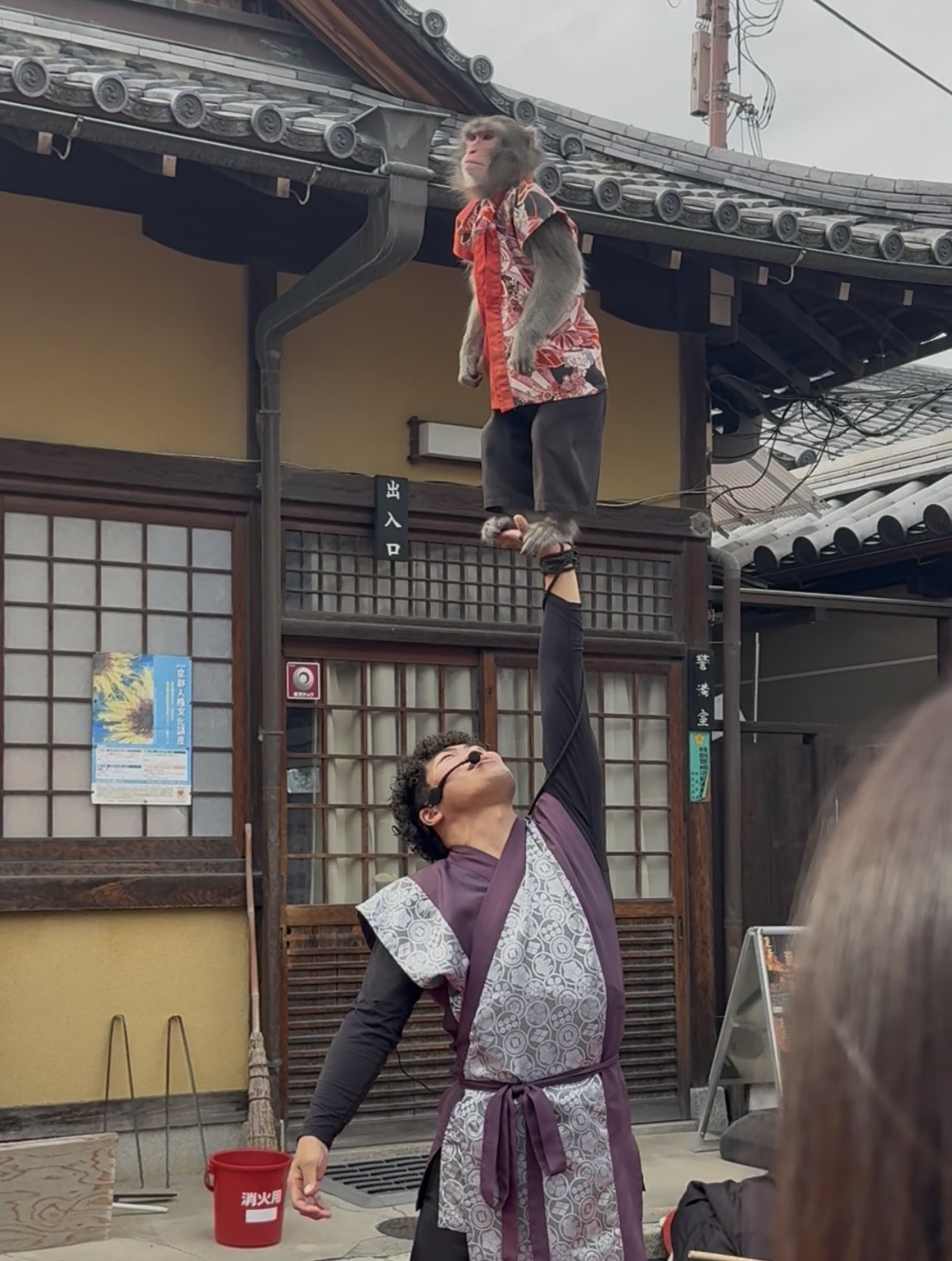 いずみ (@redizumi) / X