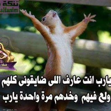 واولهم  #ايلون_ماسك 
٤٥٠ متابع طارو المتابعين مش بيظهروا لبعض الرواد سابوا التطبيق مش لاقيه حسابات اتابعها واللي بيتابع بيلغي المتابعه 
#بدايه_نشطه 
#بداية 
#بدايه