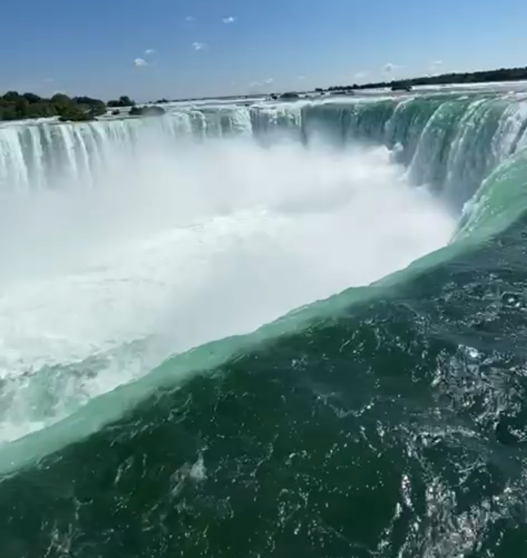 Gianna2119's tweet image. You preceded me😂
Your best👍