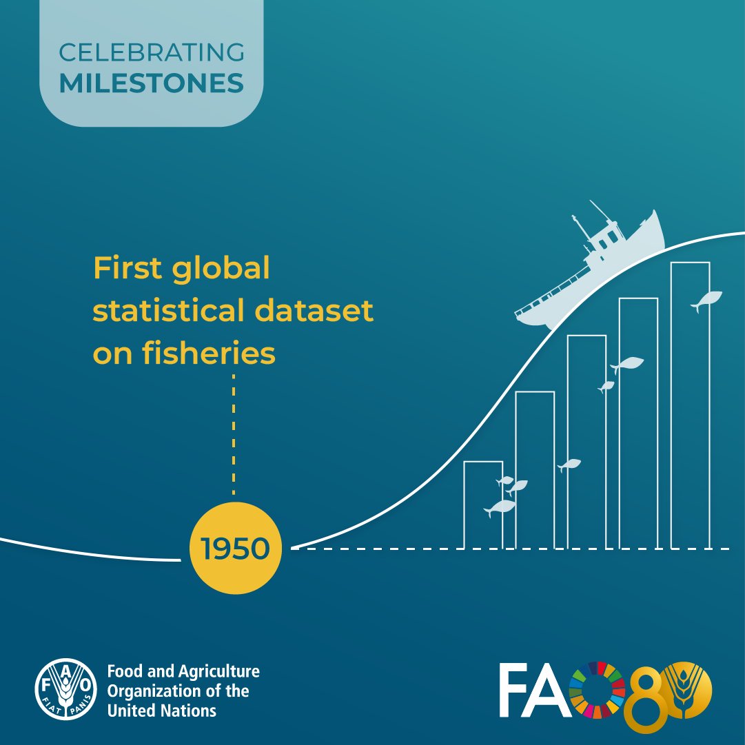 FAOfish's tweet photo. #ThrowbackTuesday: FAO released its first global fisheries dataset, the foundation of today’s #FishStat.

For 75 years, this data has guided sustainable fisheries policy.

As @FAO turns 80, we celebrate a legacy of trusted data for the sector.

🔗 https://t.co/K4PeeoothH

#FAO80 https://t.co/Gsd2v74LAn