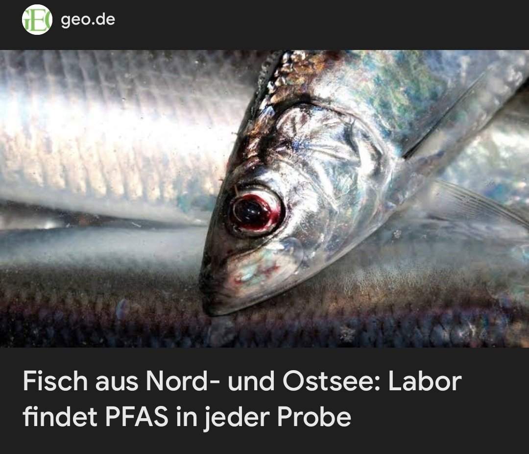 PFAS in jeder Probe.

Und dann wundern sich noch alle, warum gut 50% der Bevölkerung Krebs bekommt.

Wenn man doch nur was gegen Fischverzehr tun könnte. Aber ich komm nicht drauf was. 🤔