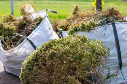 🌿 Garden waste? Old appliances? General junk? We take it all – no job too big or small.
 #RubbishGone #CleanSpace #WasteSolutions #HomeCareExperts