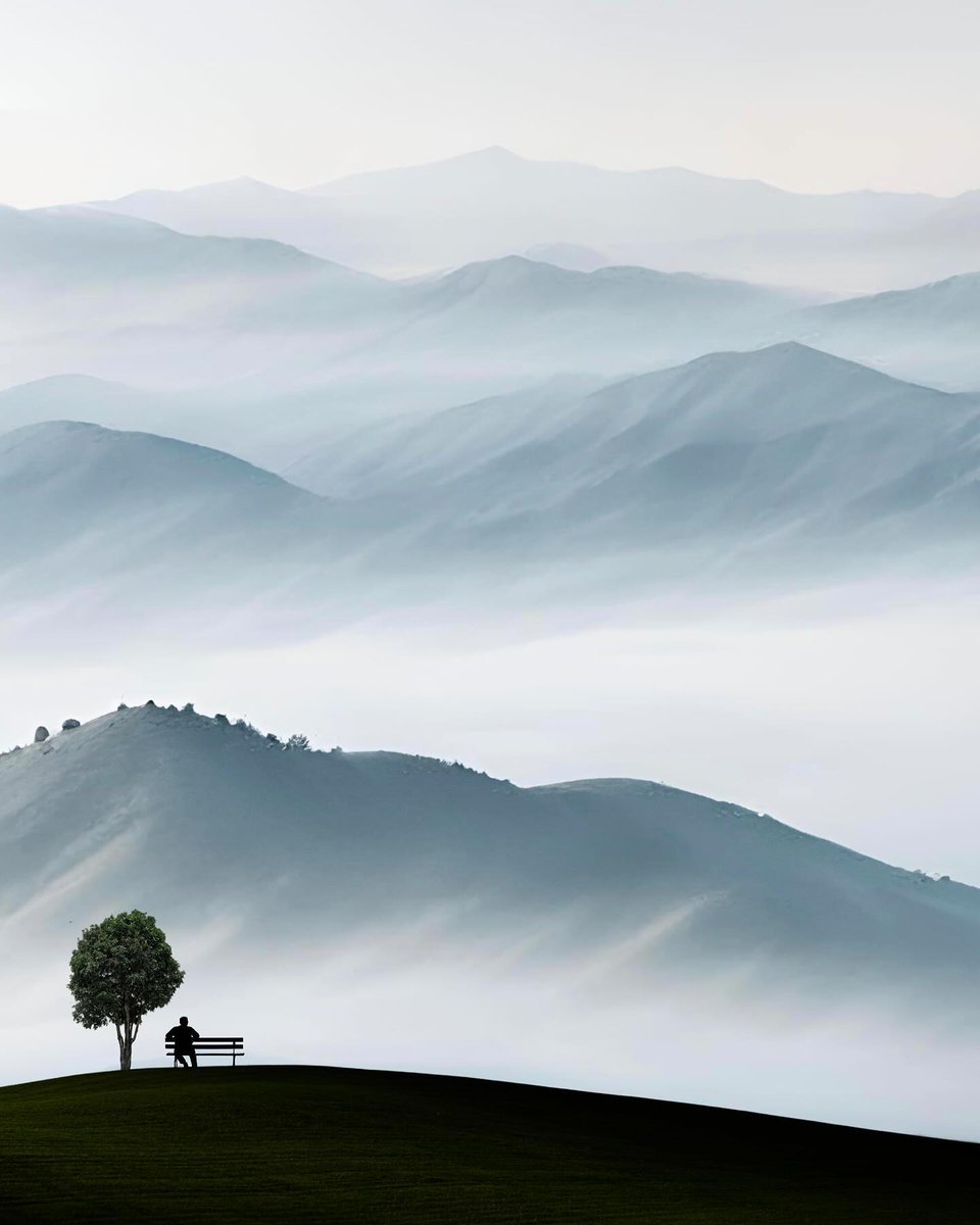 Waiting is instancy  
always without the present instant.  

Blanchot ~ Awaiting Oblivion 

. 
David Gilmour ~ Comfortably Numb
youtu.be/bDC3ade3JxU?si…

.
photo © niphisi

.