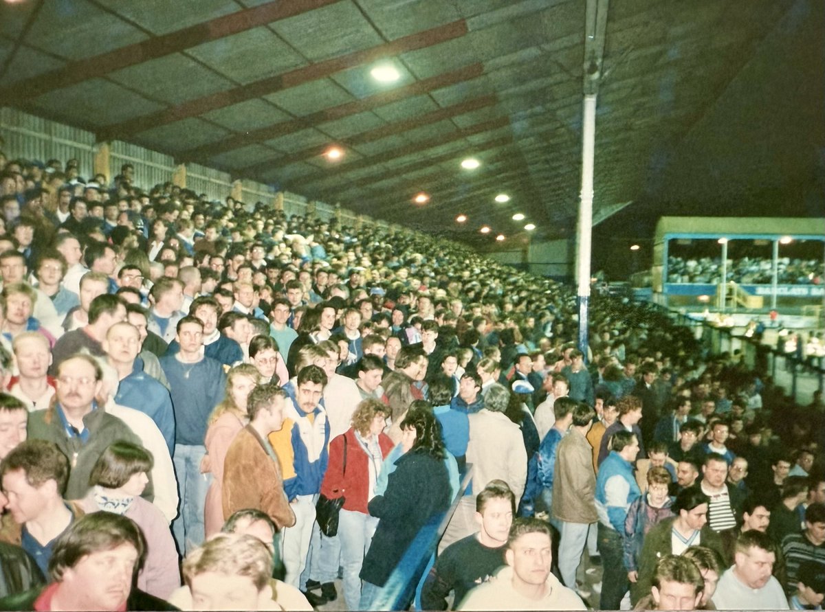 Robert Shelton tweet media