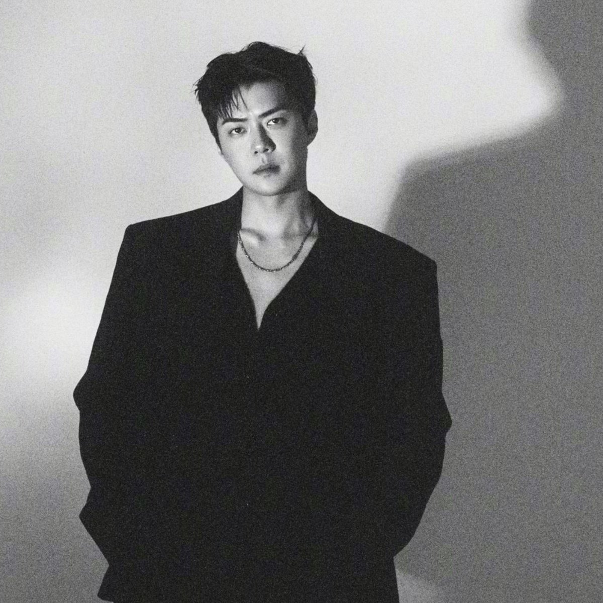 جوان، زیبا، ثروتمند، دست نیافتنی، ارباب، رئیس،
آلفا، اوه سهون.

<a href="/weareoneEXO/">EXO</a> #SEHUN