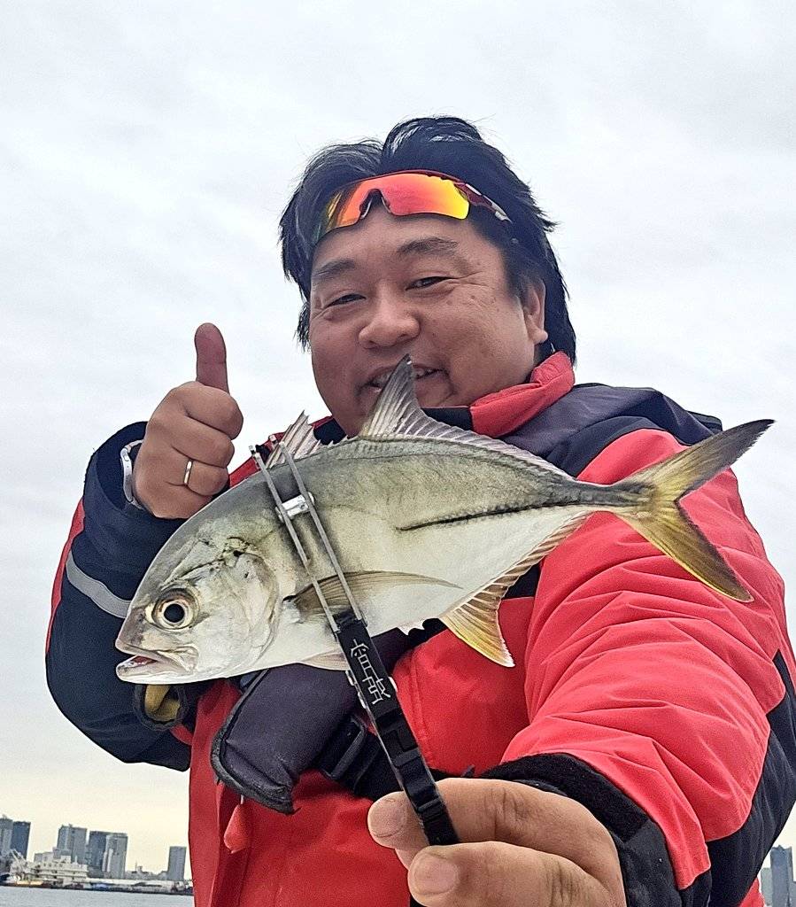 D-marina【公式】横浜・東京湾のレンタルボート on X