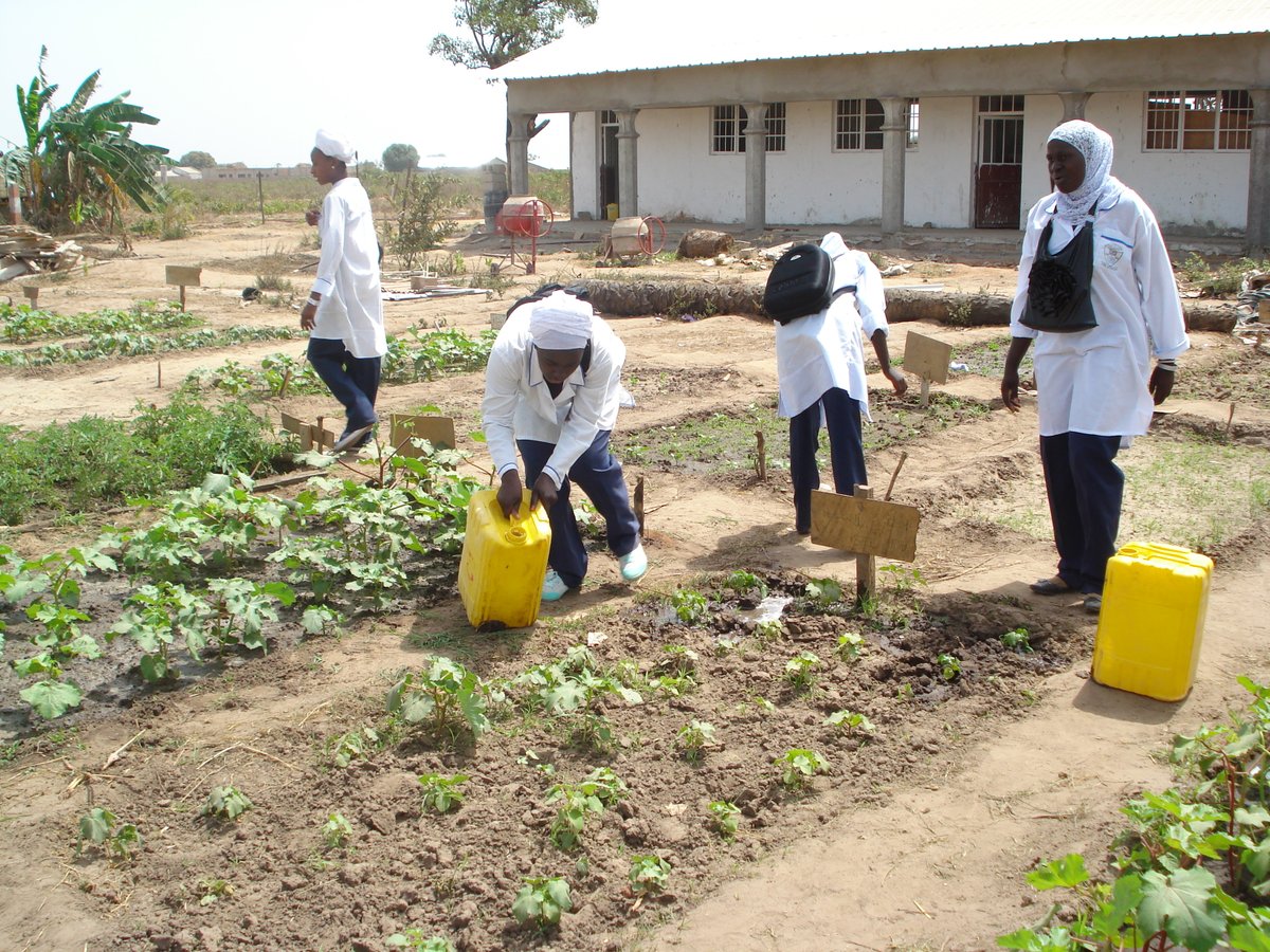 Humanity First International tweet media