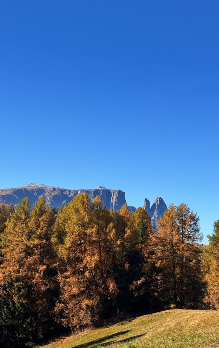 Un po' di colori 🤩🤩🤩Dolomiti