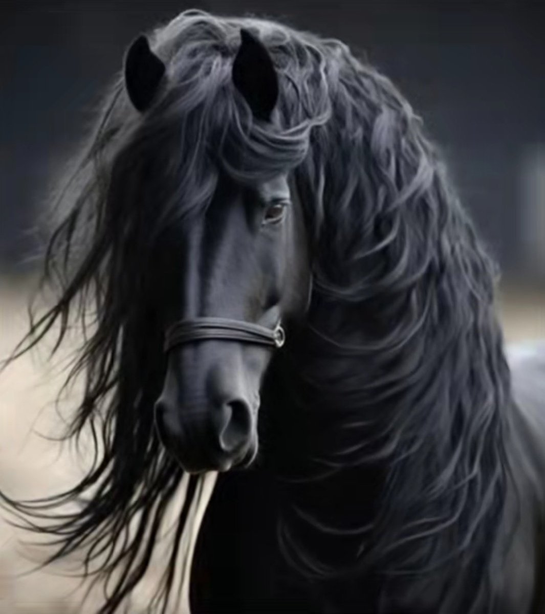 قِفْ فَوْقَ جُرْحِكَ صَابِراً مُتَفَائِلاً
فَالفَأْلُ لِلعَيْشِ السَّعِيْدِ طَرِيْقُ!

لَا تَأْسَ إِنْ ضَاقَتْ عَلَيْكَ… فَإِنَّمَا
فَرَجُ الحَيَاةِ يَجِيْءُ حِينَ... تَضِيْقُ
#مساء_الخير