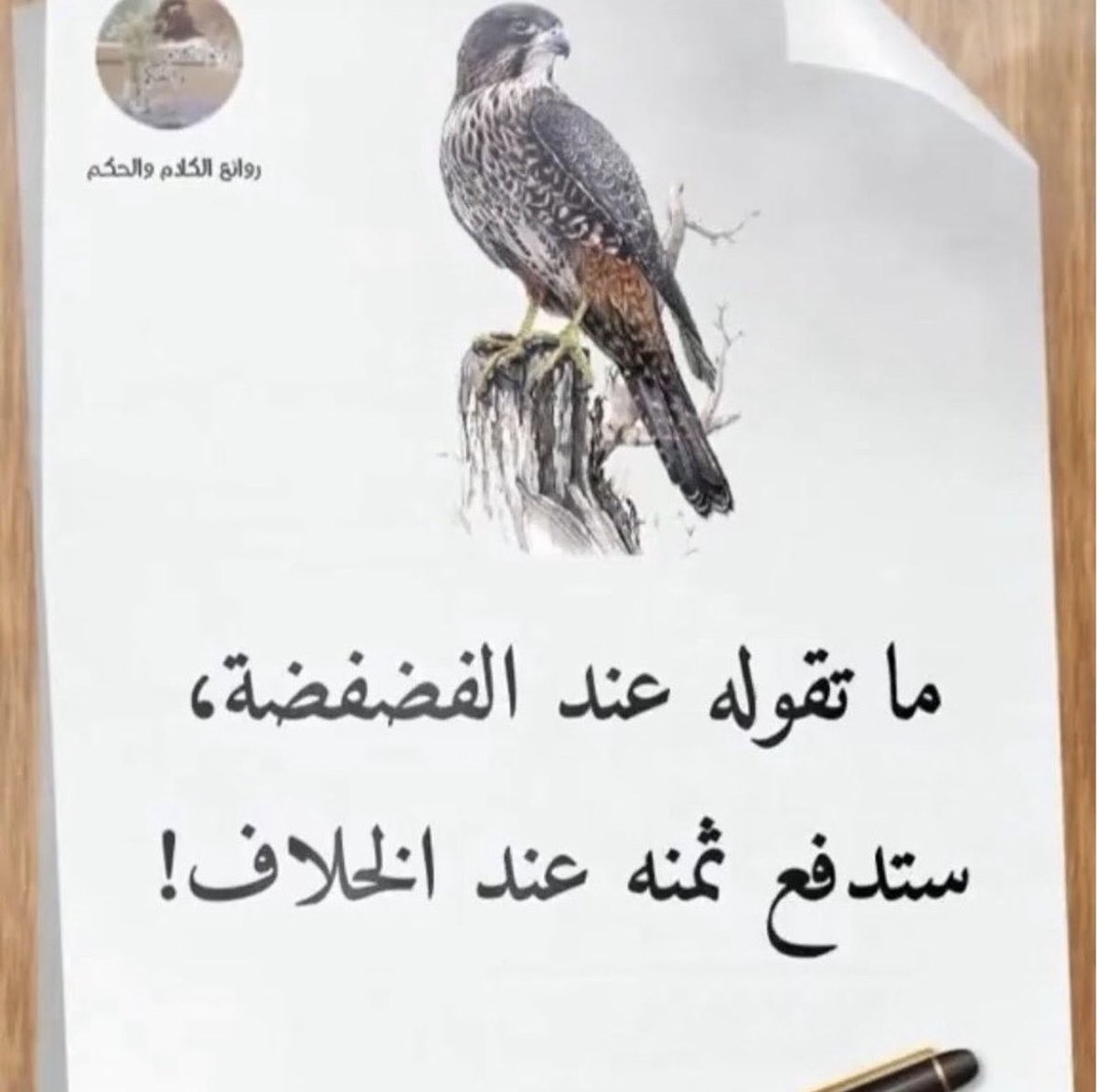 ام محمد tweet media