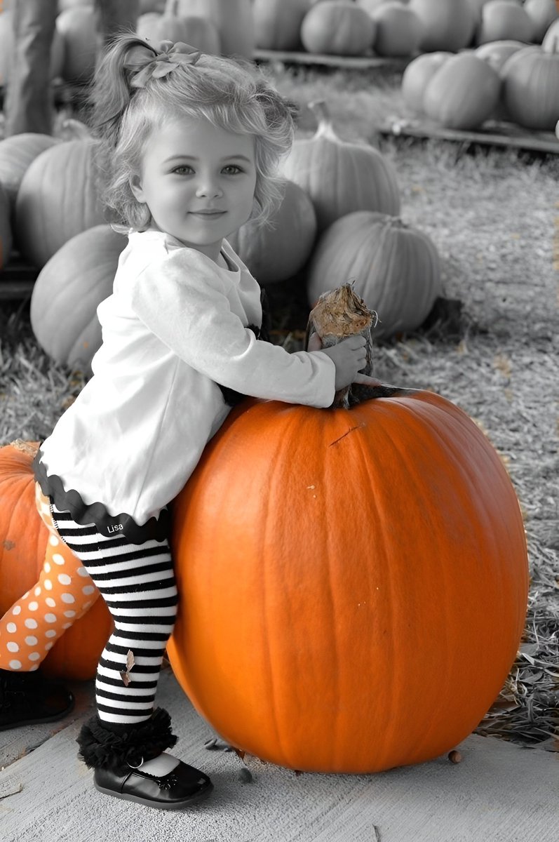 𝑯𝒂𝒑𝒑𝒚 𝑻𝒖𝒆𝒔𝒅𝒂𝒚 𝒆𝒗𝒆𝒓𝒚𝒐𝒏𝒆 🩵